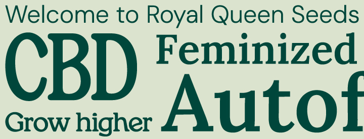 Royal Queen Seeds Rebranding Royal Queen Seeds Rebranding